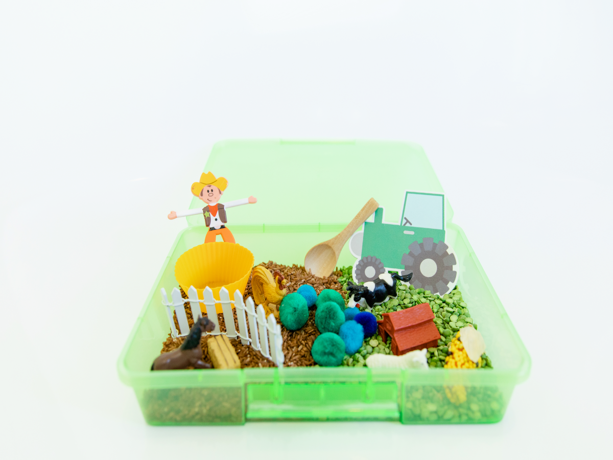 Personalized Farm Animal Sensory Bin
