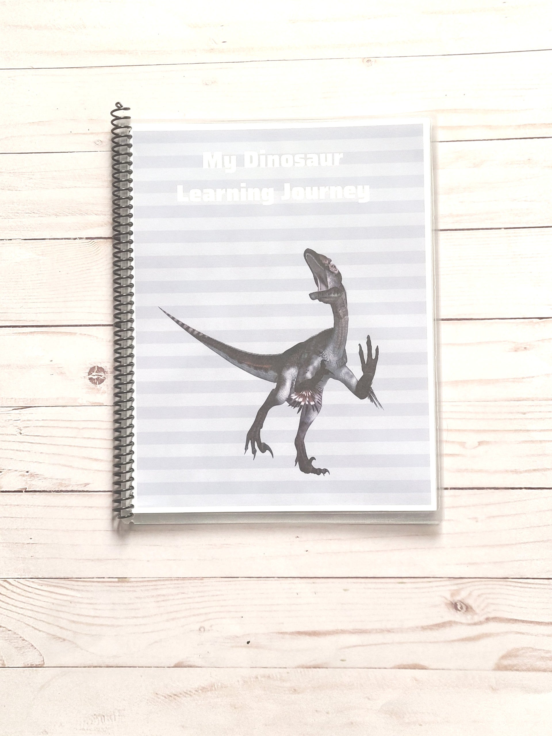 Dinosaur Learning Busy Book Level 1