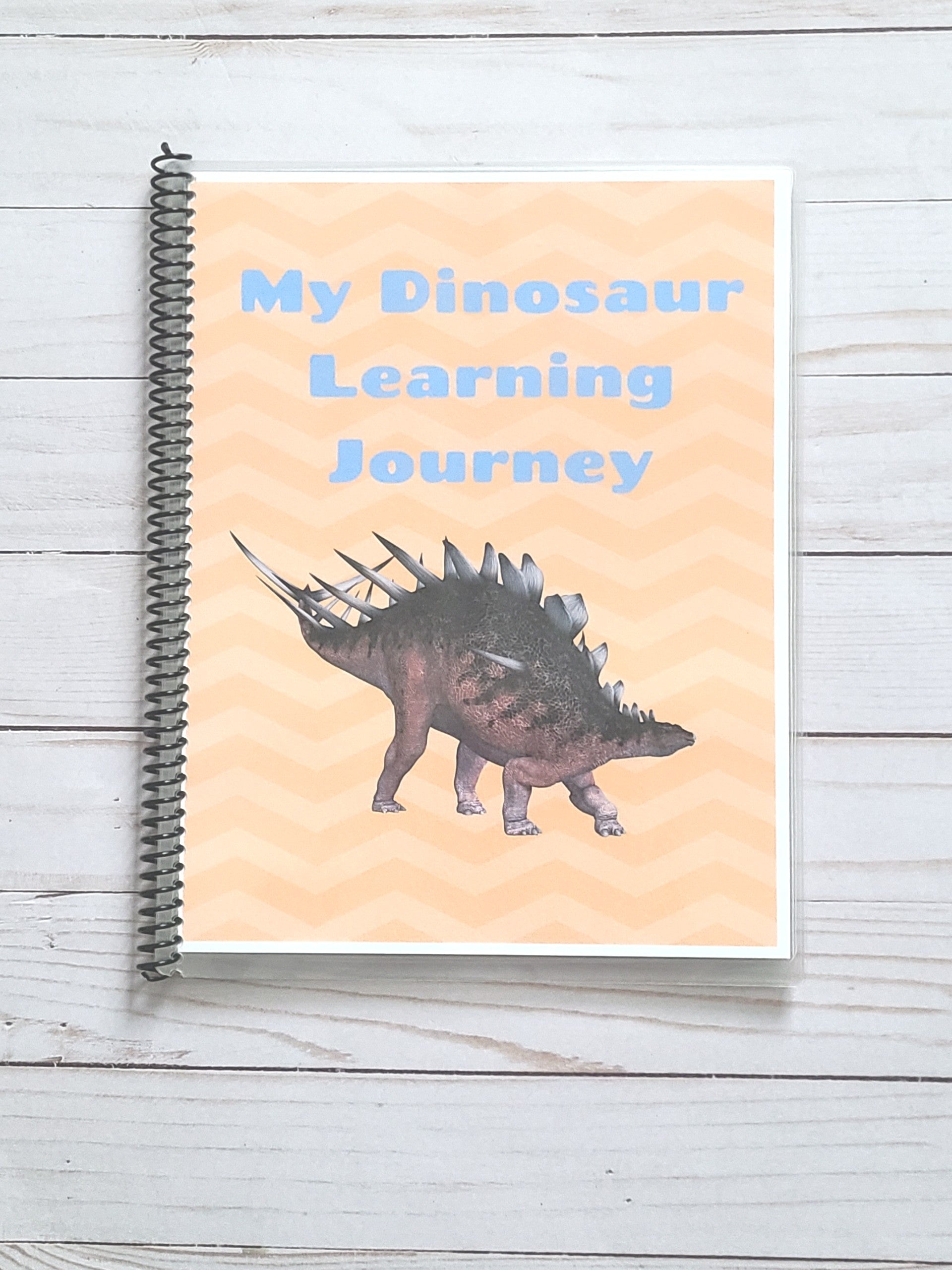 Dinosaur Learning Busy Book Level 2