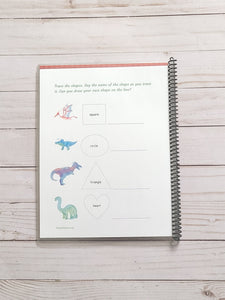 Dinosaur Learning Busy Book Level 2